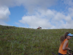 DSC02647.JPG
