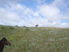 DSC02648.JPG