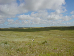 DSC02650.JPG