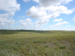 DSC02652.JPG