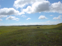 DSC02653.JPG
