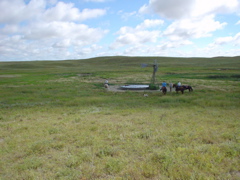 DSC02658.JPG