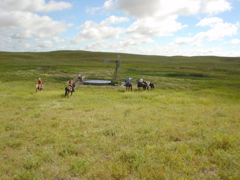 DSC02659.JPG