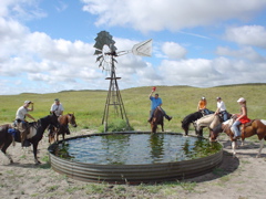 DSC02661.JPG