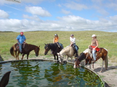 DSC02662.JPG