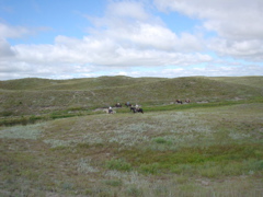 DSC02667.JPG