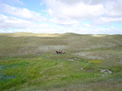 DSC02672.JPG