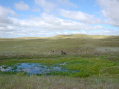 DSC02673.JPG