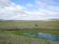 DSC02674.JPG