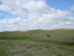 DSC02675.JPG