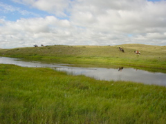 DSC02676.JPG