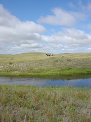 DSC02678.JPG