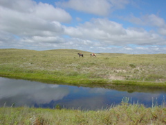 DSC02679.JPG