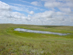 DSC02680.JPG