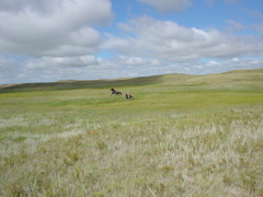 DSC02684.JPG