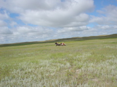 DSC02685.JPG
