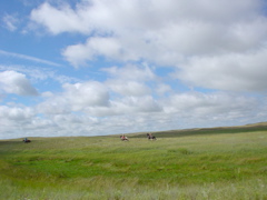 DSC02687.JPG