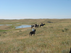IMG_4750.JPG