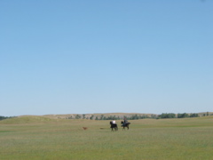IMG_4754.JPG