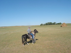IMG_4756.JPG