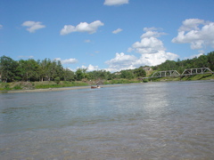 DSC02729.JPG