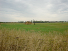 DSC02737.JPG