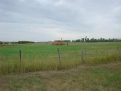 DSC02738.JPG