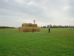 DSC02740.JPG
