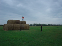 DSC02741.JPG