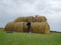 DSC02745.JPG
