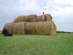 DSC02746.JPG