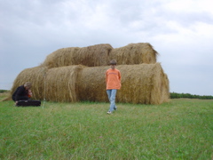 DSC02747.JPG