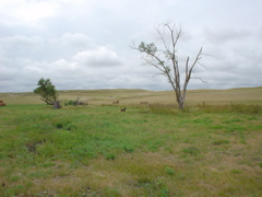 DSC02755.JPG