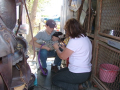 DSCF4158.JPG