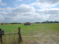 DSC02779.JPG
