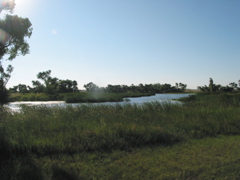 IMG_4772.JPG