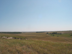 IMG_4776.JPG