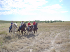 DSC02825.JPG
