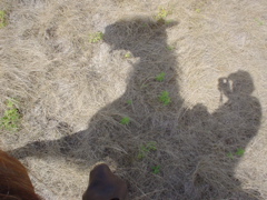 DSC02826.JPG