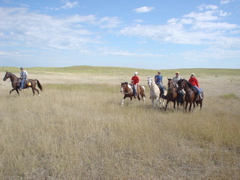 DSC02828.JPG