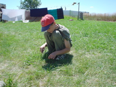 DSC02830.JPG