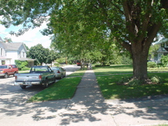 DSC02843.JPG