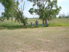 DSC02601.JPG