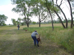 DSC02604.JPG