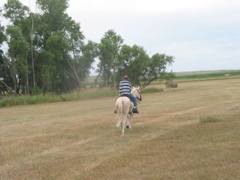 IMG_4721.JPG