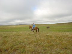 DSC02631.JPG