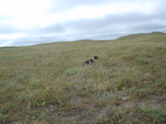 DSC02632.JPG