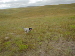 DSC02633.JPG
