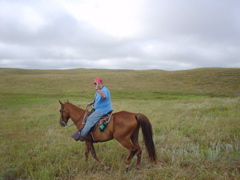 DSC02634.JPG