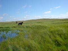 DSC02637.JPG